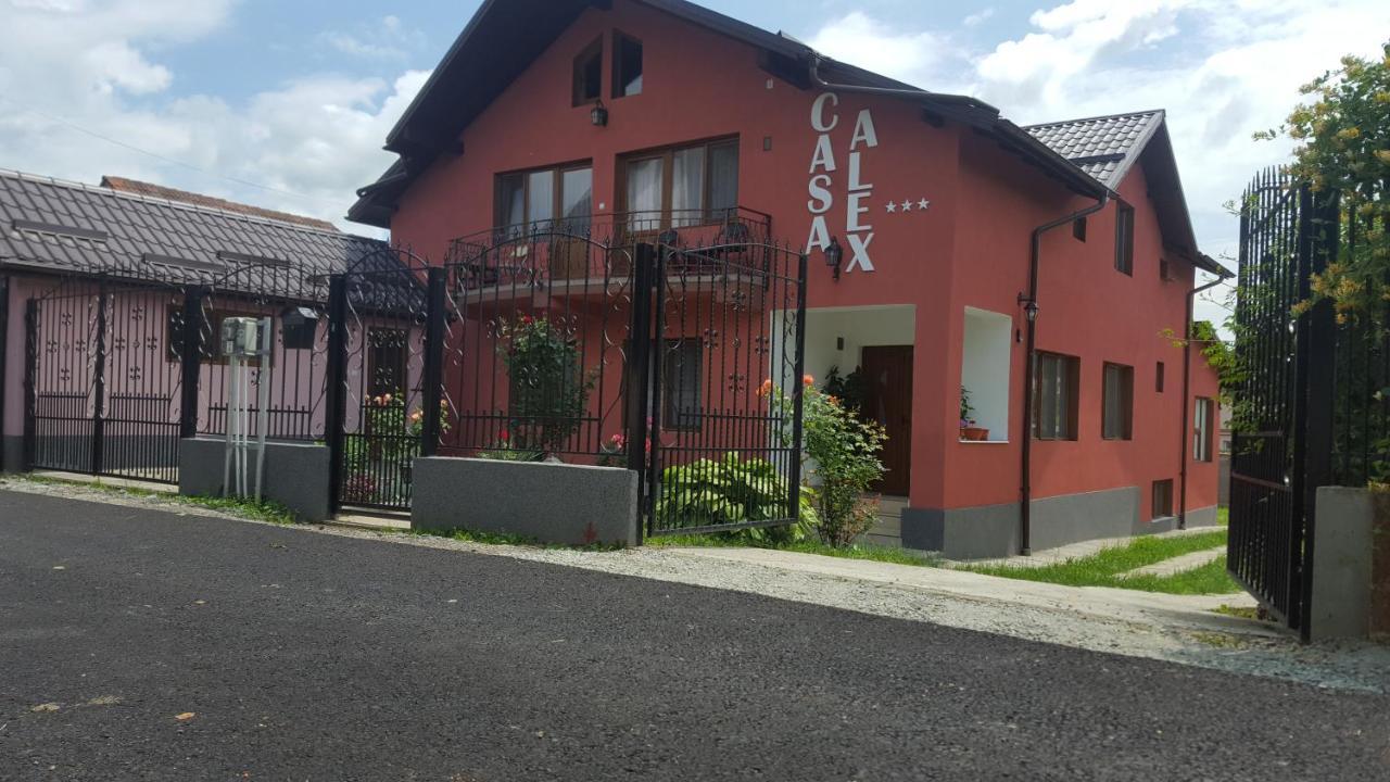 Vila Alex Hotel Călimăneşti Exterior foto