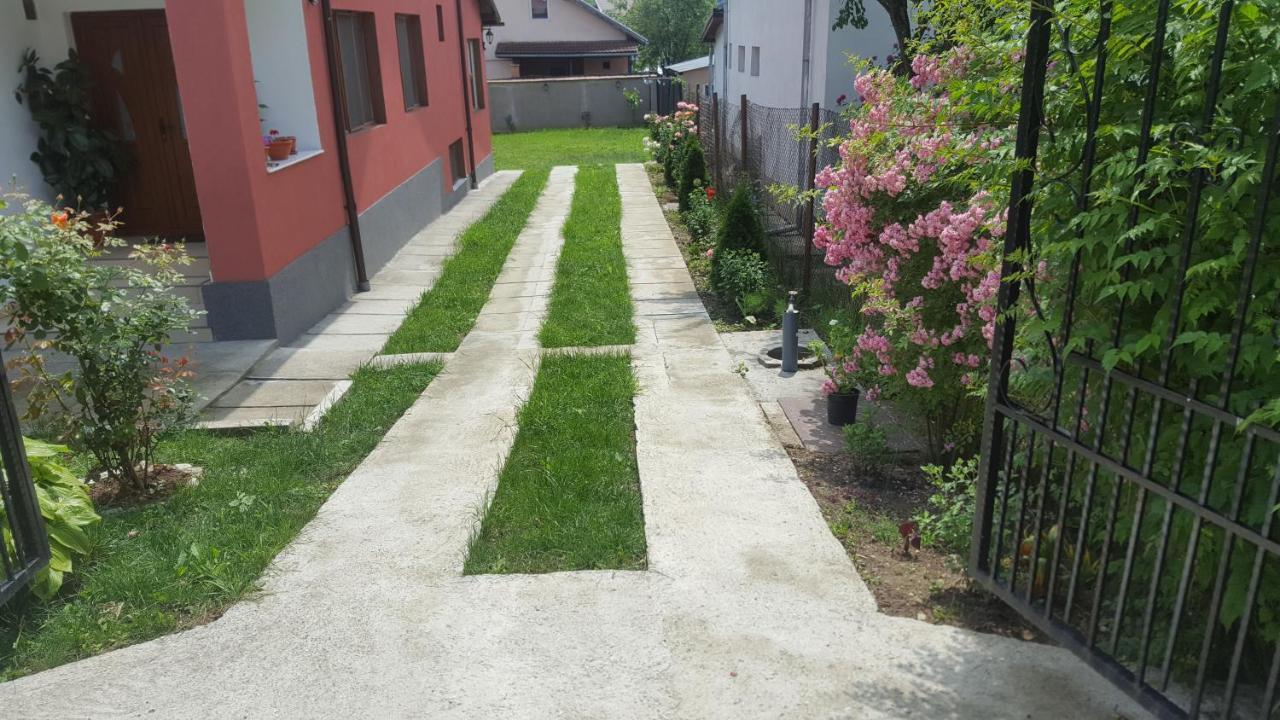 Vila Alex Hotel Călimăneşti Exterior foto