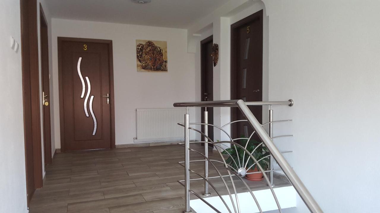 Vila Alex Hotel Călimăneşti Exterior foto