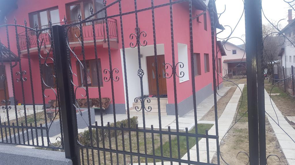 Vila Alex Hotel Călimăneşti Exterior foto