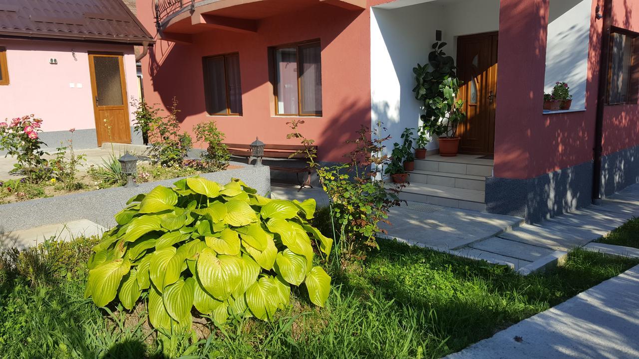 Vila Alex Hotel Călimăneşti Exterior foto