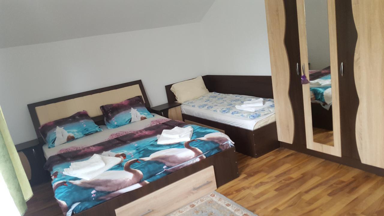 Vila Alex Hotel Călimăneşti Exterior foto