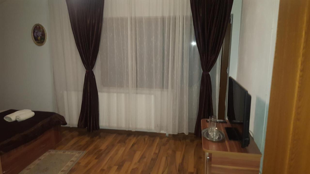 Vila Alex Hotel Călimăneşti Exterior foto